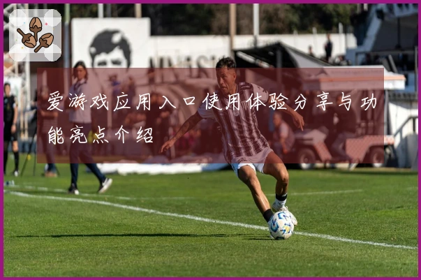 爱游戏应用入口使用体验分享与功能亮点介绍