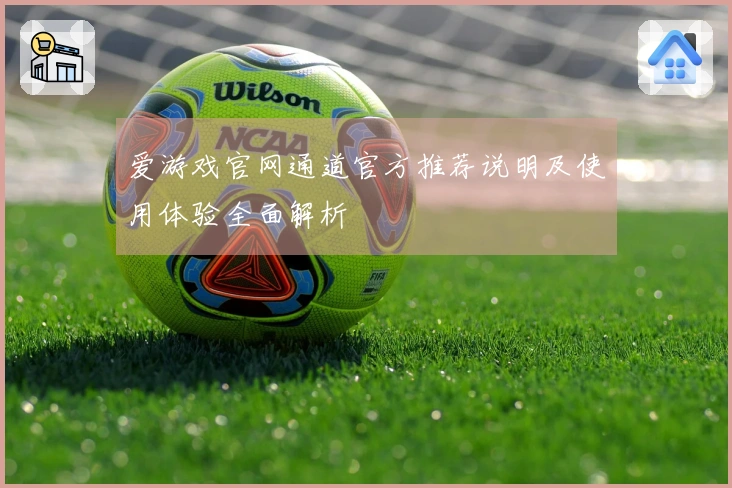 爱游戏官网通道官方推荐说明及使用体验全面解析